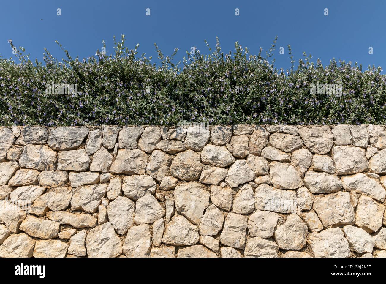 brick wall, green hedge and blue sky horizontal Stock Photo