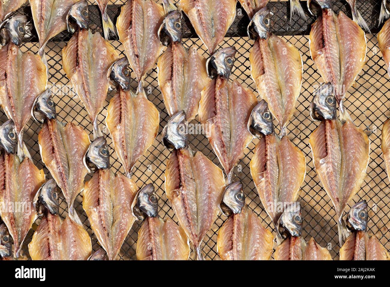 Fish drying process hi-res stock photography and images - Alamy