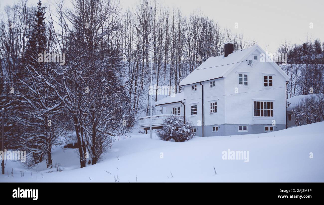 traditional norwegian wooden house and forest with mountain in the ...