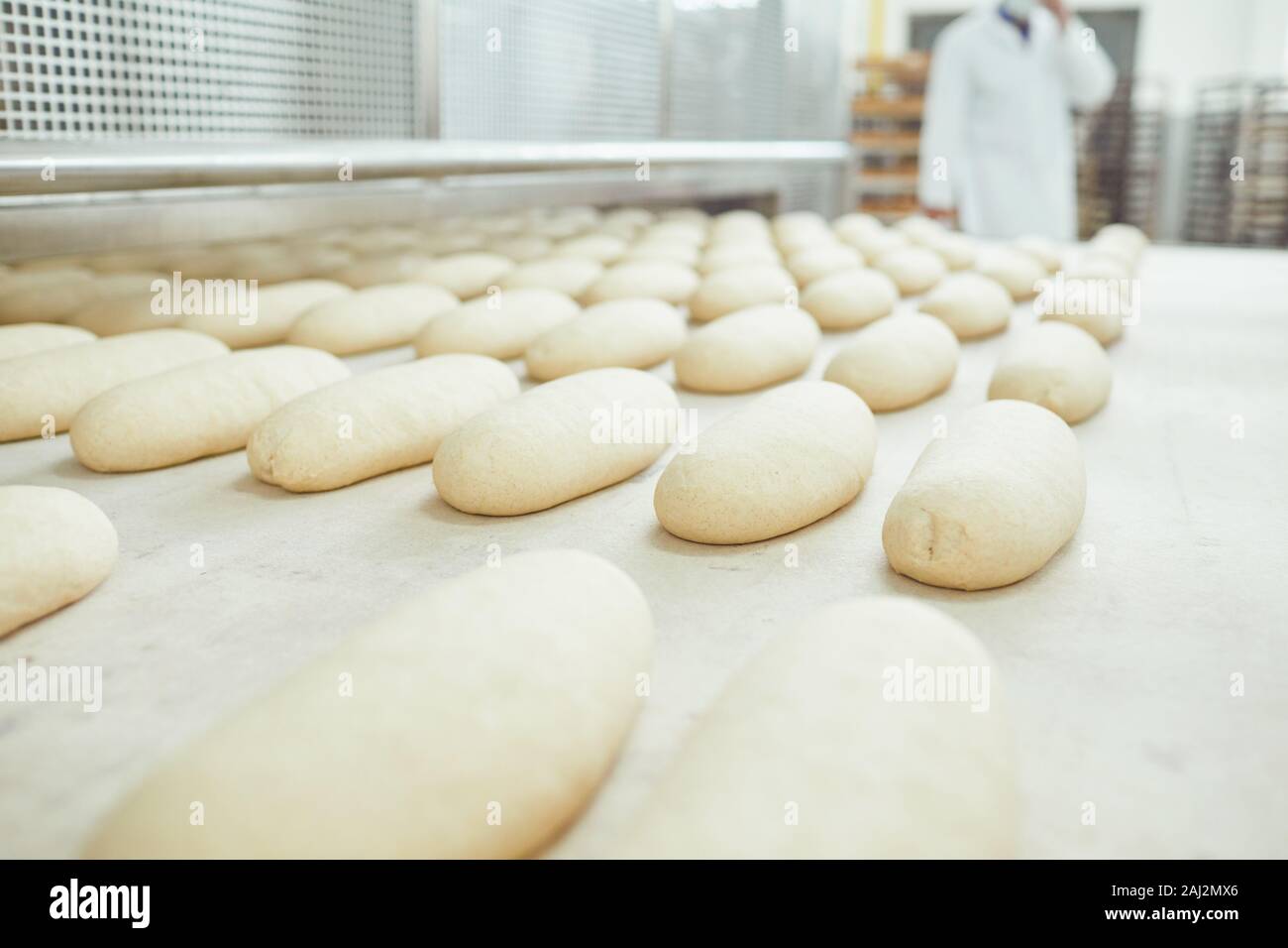 https://c8.alamy.com/comp/2AJ2MX6/raw-bread-is-making-on-the-automatic-equipment-line-in-the-bakery-2AJ2MX6.jpg