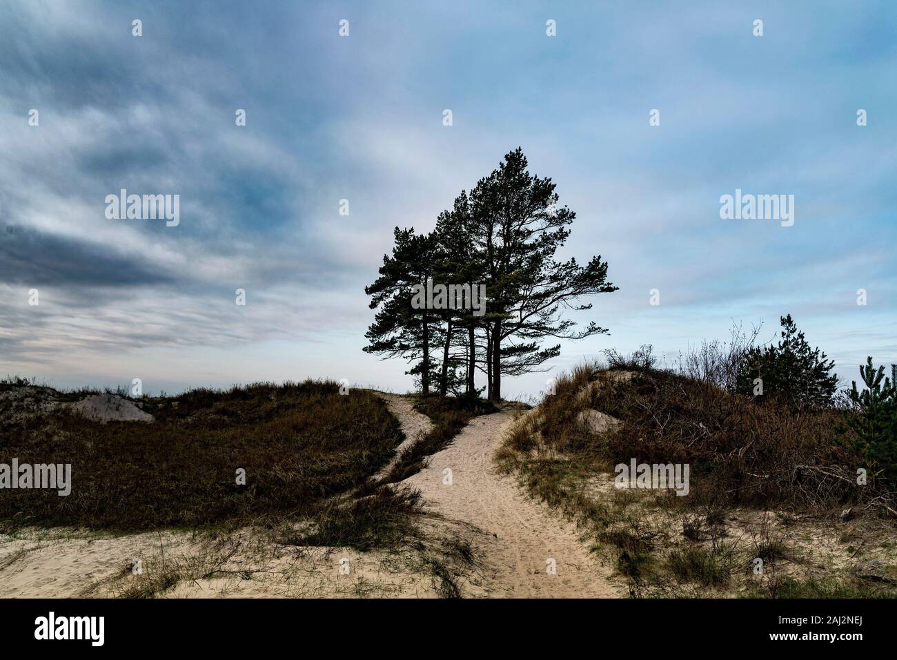 Path to Baltic sea in dunes Stock Photo - Alamy