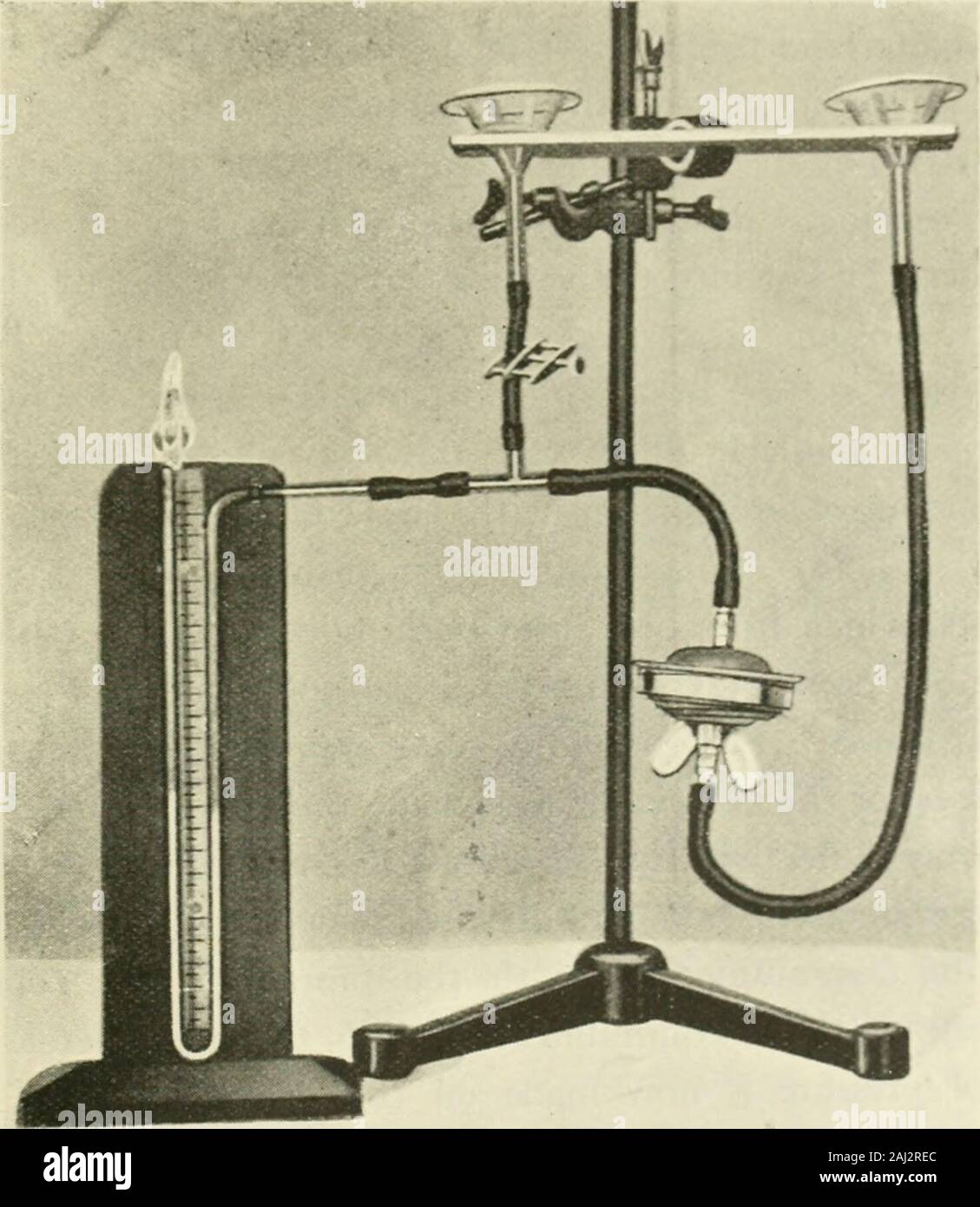 The Biochemical journal, 1907 . variably causesleakage. The osmometer is screwed together by means of a male screwon the lower casing and a female screw on a circular joining piece ofthick metal possessing a flange, which fits against a flange on the uppercase as shown in the drawing. The thumb hold on the lower caseenables the whole to be tightly screwed together. The capacity of each chamber was about 20 c.c, the diameter5 cm., and the depth i cm. ; so that a large surface for diffusionand rapid equalization of crystalloids was offered, relatively, to thevolumes of the chambers. In fitting u Stock Photo