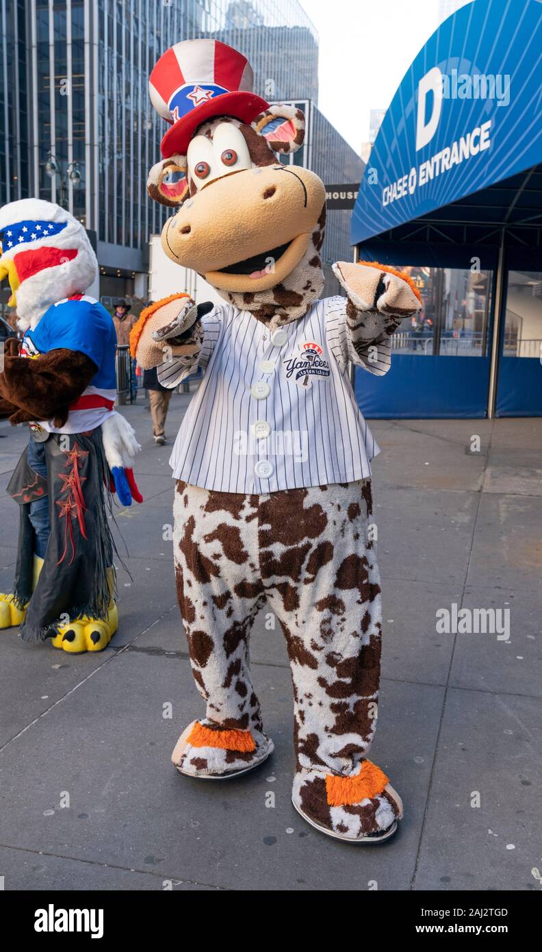 New York, NY - January 2, 2020: Staten Island Yankees mascot Scooter the  Holy Cow attends mechanical bull rides during Professional Bull Riders  launch of season 2020 outside of Madison Square Garden Stock Photo - Alamy