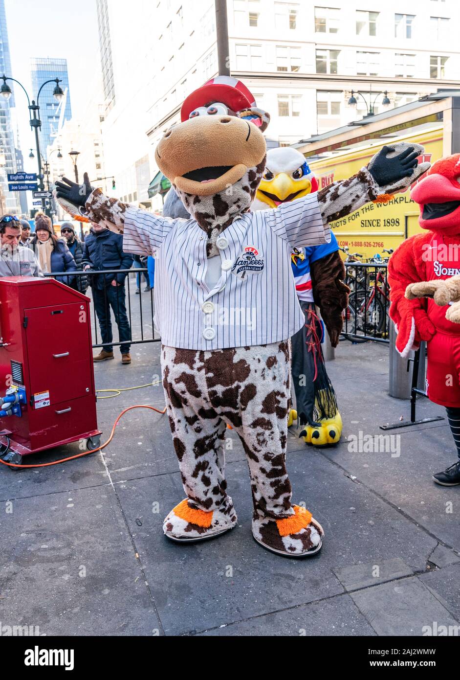 New York, NY - January 2, 2020: Staten Island Yankees mascot Scooter the  Holy Cow attends mechanical bull attends Professional Bull Riders launch of  season 2020 outside of Madison Square Garden Stock Photo - Alamy