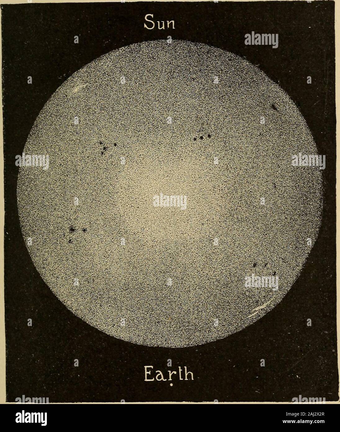 Astronomy for amateurs . t he burns yonder, in the midstof the pale cosmic cloud we term the Milky Way. Letus approach him, now that we have visited the Islesof Light in the Celestial Ocean; let us traverse the vastplains strewn with the burning gold of the Suns of theInfinite. We embark upon a ray of light, and glide rapidlyto the portals of our Universe. Soon we perceive atiny speck, scintillating feebly in the depths of Space,and recognize it as our own celestial quarters. Thislittle star shines like the head of a gold pin, and in-creases in size as we advance toward it. We traversea few mo Stock Photo