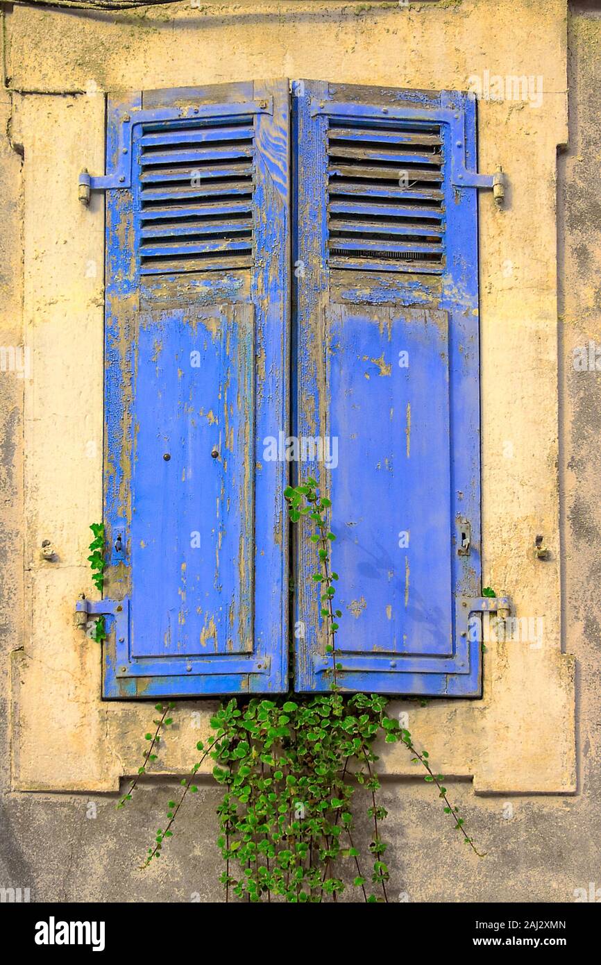 closed blue shutters at an old house with plants and some traces of aging Stock Photo