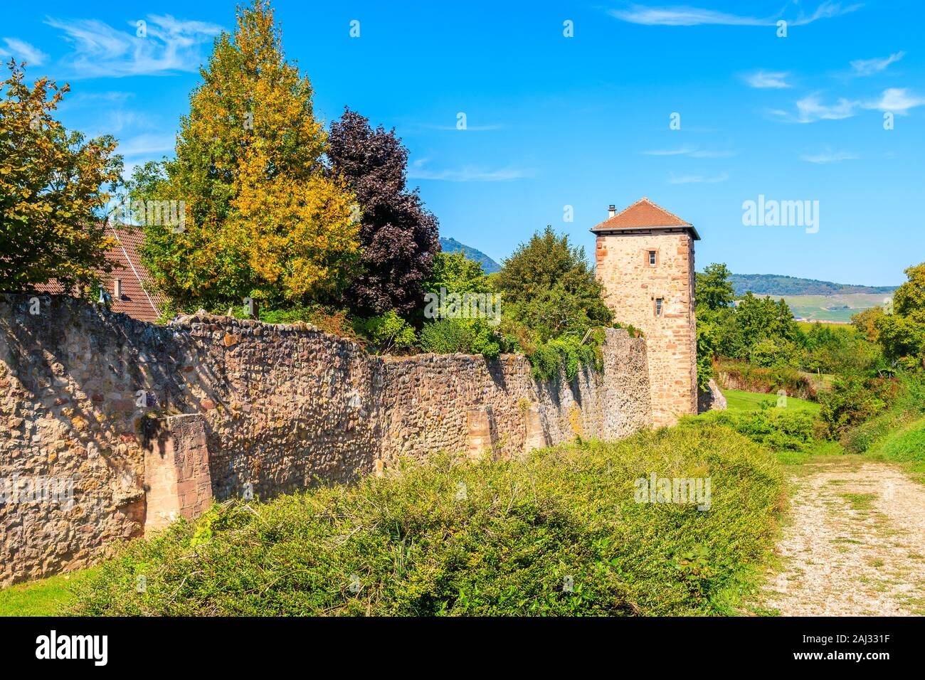 Beautiful tower of Bergheim town fortification walls, Alsace wine route, France Stock Photo