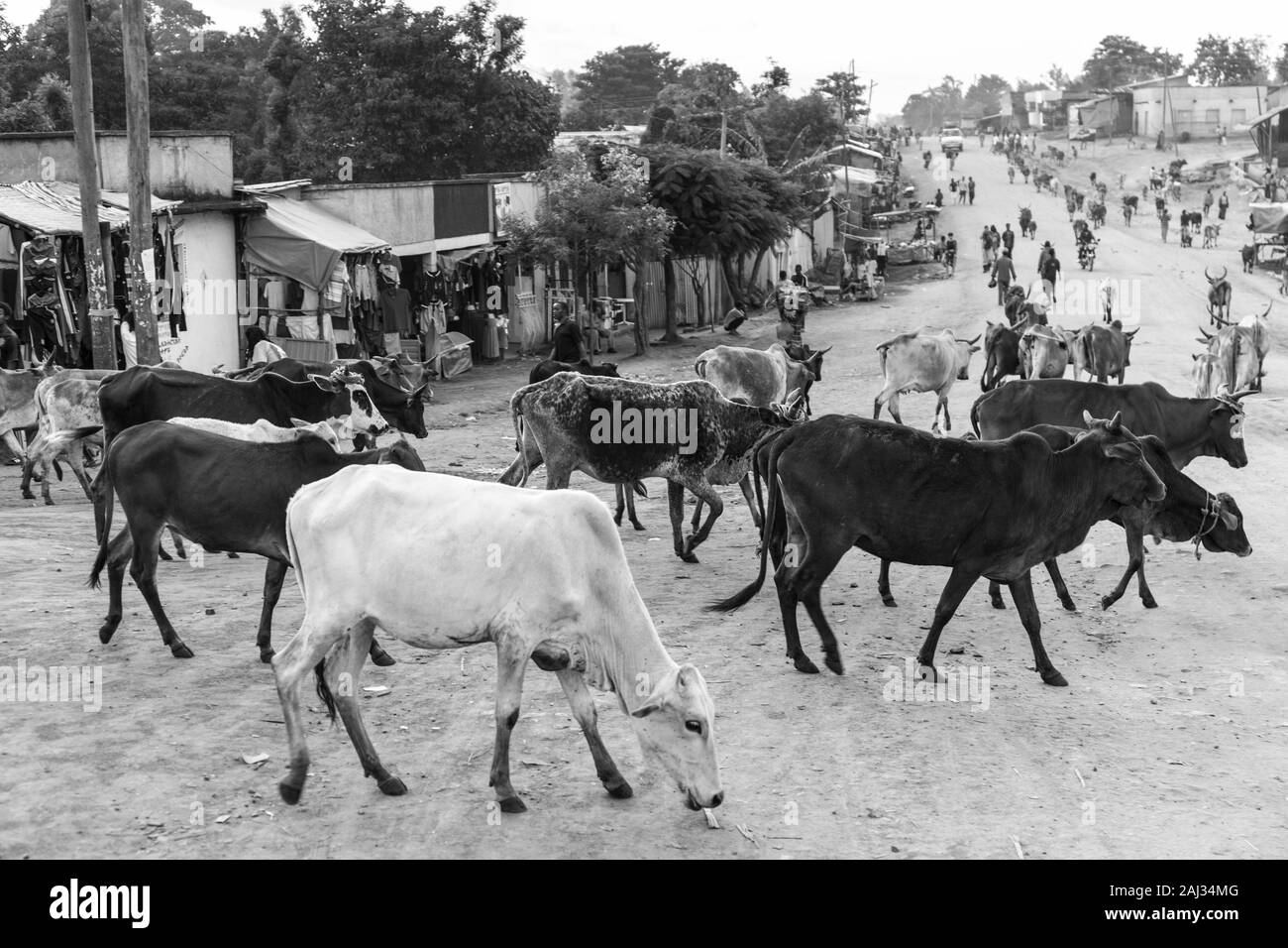 Jinka town, Naciones, Ethiopia, Africa Stock Photo