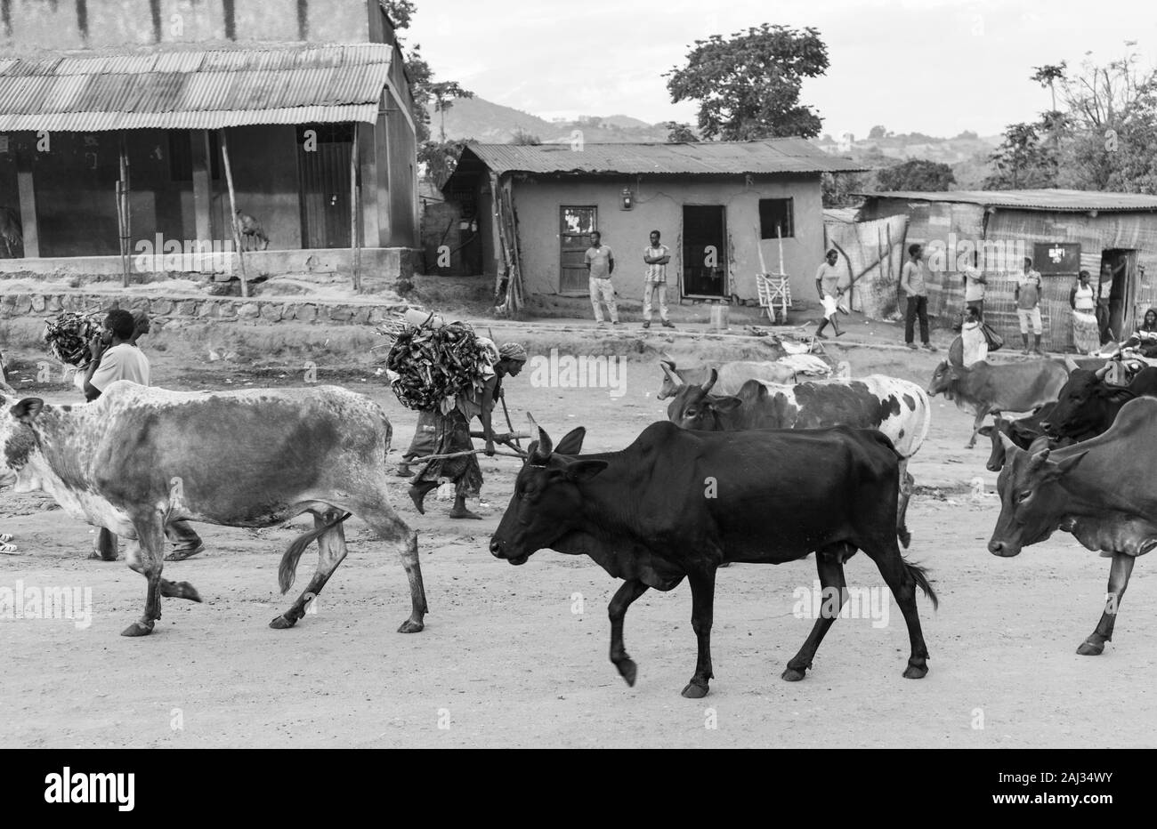 Jinka town, Naciones, Ethiopia, Africa Stock Photo