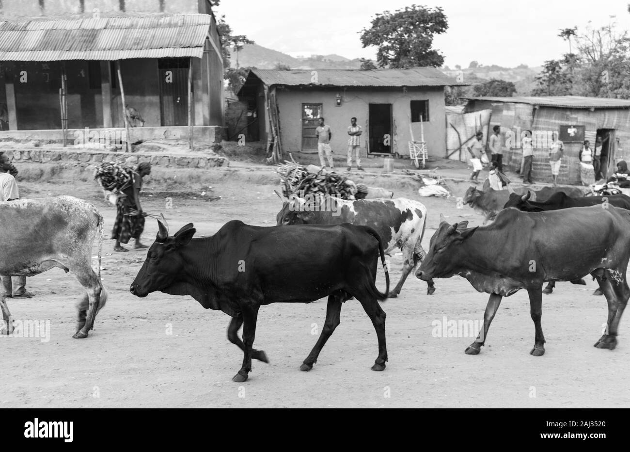 Jinka town, Naciones, Ethiopia, Africa Stock Photo