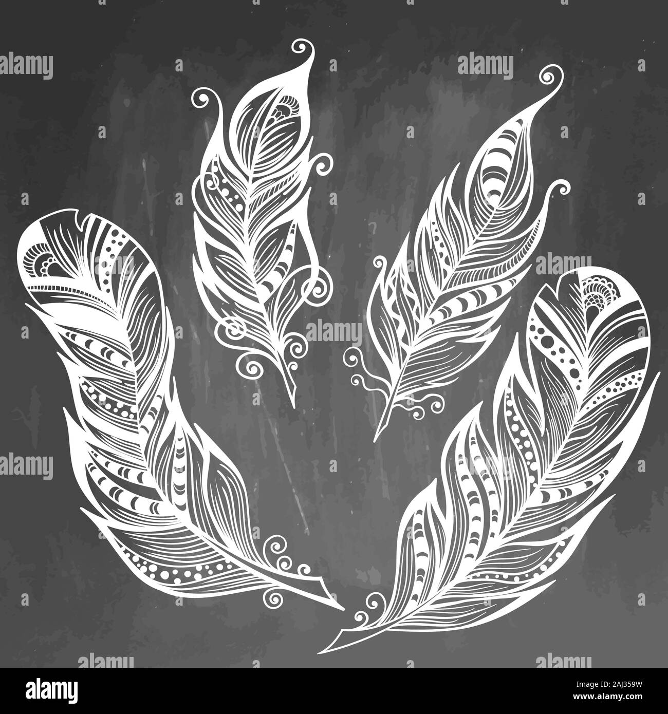 Feather hand drawn illustration. Sketch collection. Engraved style set of doodle plumes on chalkboard background. Stock Photo