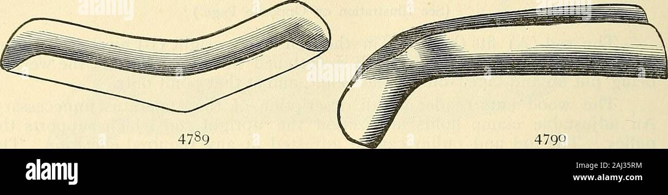 Smith Splint Catalogue of Sharp & Smith : importers, manufacturers, wholesale and ...