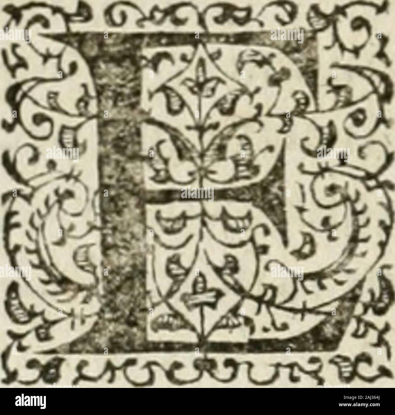 Non quis hires stock photography and images Alamy