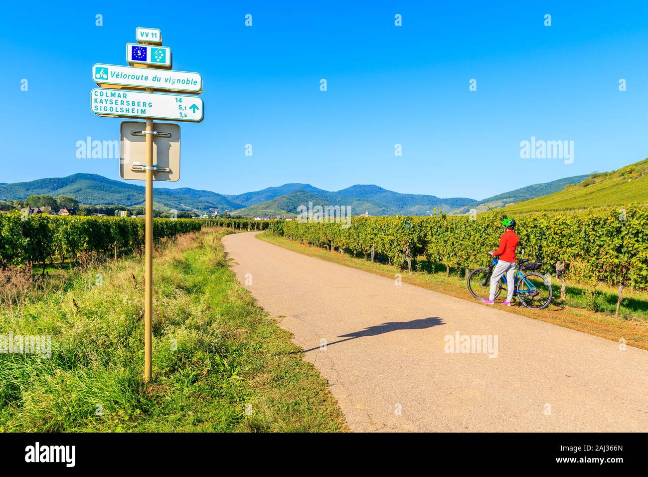 Sign with village names and directions and young woman biker among vineyards on road near Kientzheim village on Alsatian Wine Route, France Stock Photo