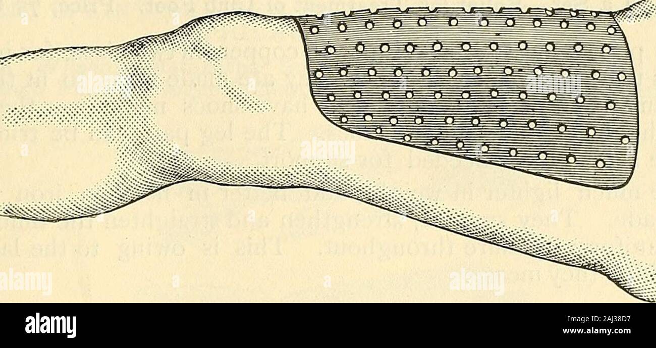 Mettalic Splints Catalogue of Sharp & Smith : importers, manufacturers, wholesale and ...