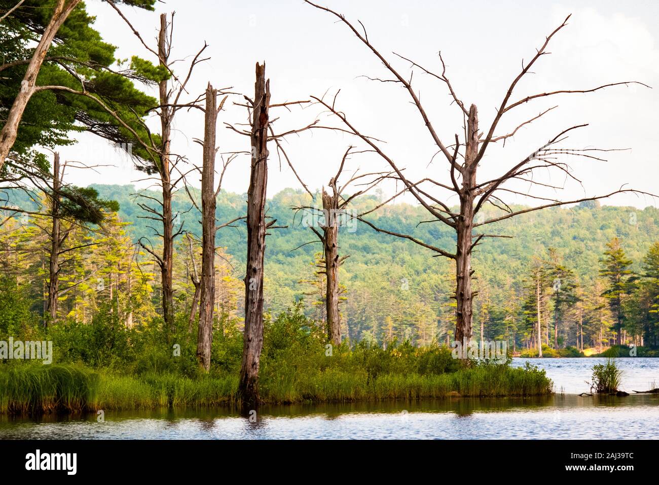 Tully Lake in Royalston, Massachusetts Stock Photo