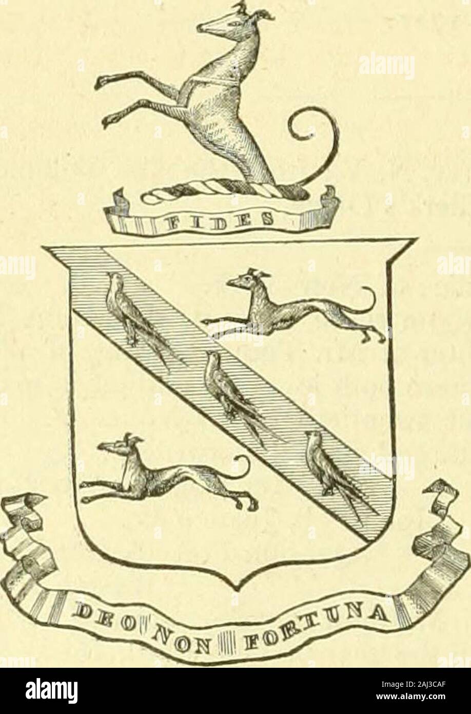 The New York genealogical and biographical record . iuyler who came from Holland had by his wife iMagaret ist. Col. Peter Schuyler, who had two sons and one dau. Magaretta who m. RobertLivingston (the nephew of the head of the elder branch of the Livingstons in this country). 2d. John grandfather of General Scliuyler. 3d. Arent married in the Jerseys .and possessed the only copper mine in thiscountry that yielded affluence to his posterity. (j;V) 4th. Philip lost in the woods and never heard from. Sth. Alida m. first Dominic Nicolaus Van Rensselaer and second Robert Livingston,(the uncle, or f Stock Photo