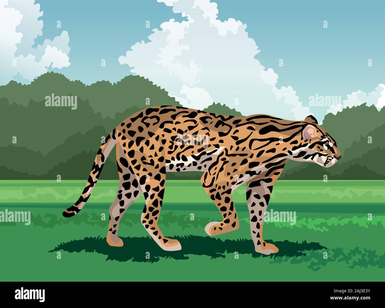 Leopard in forest Stock Vector Images - Alamy