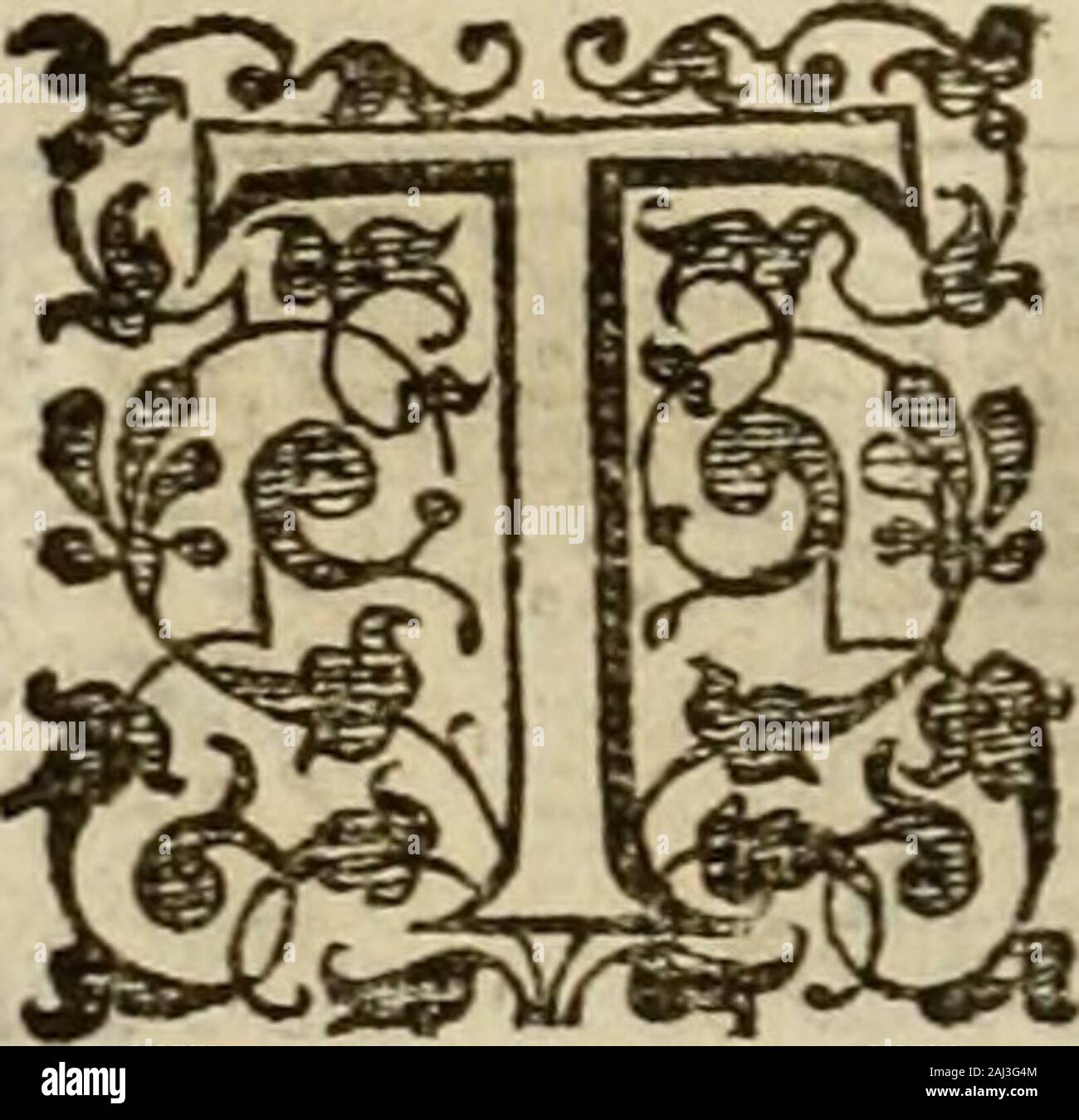 Bookc Hi Res Stock Photography And Images Alamy