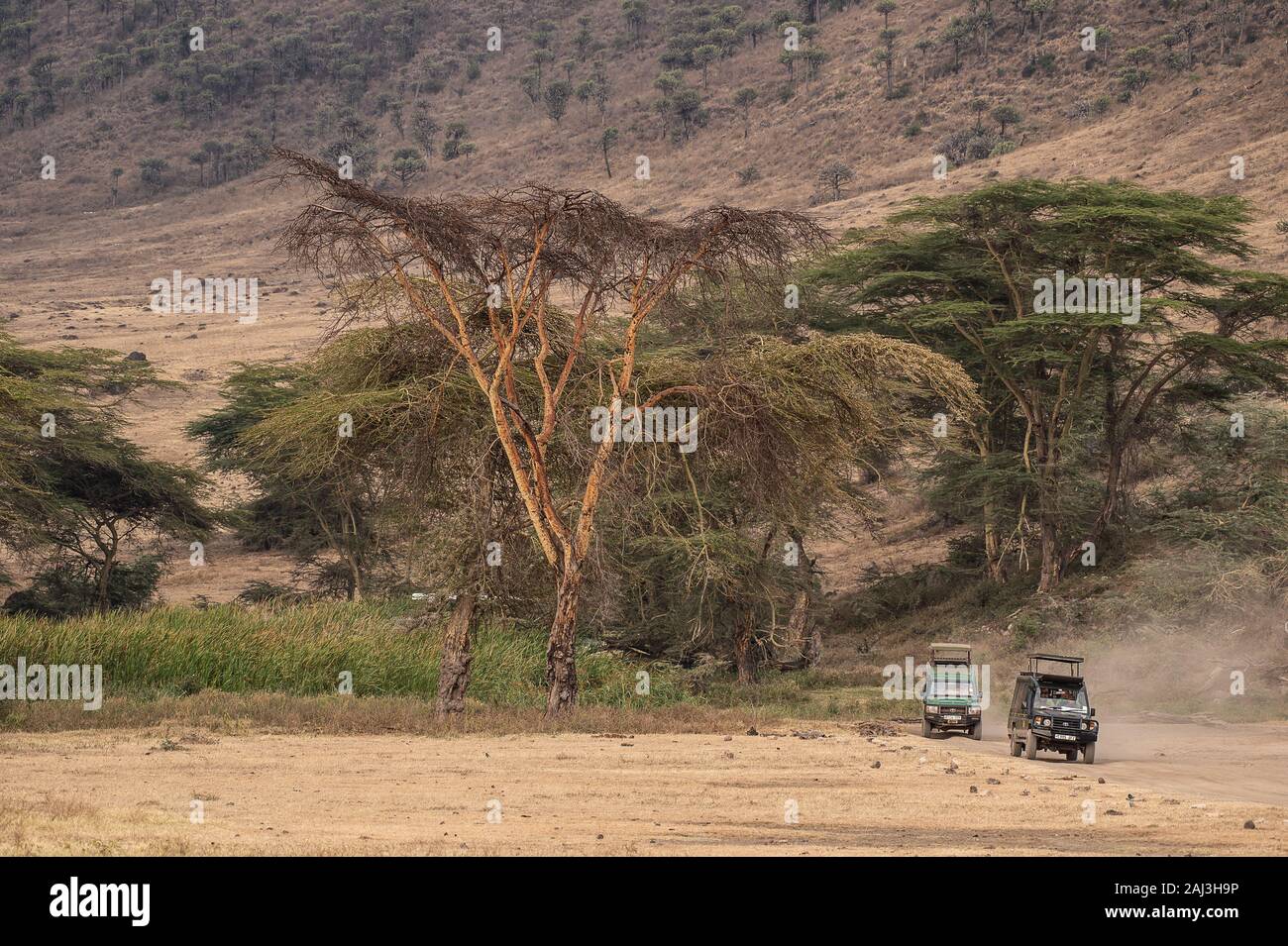 Touristis jeep in the Ngorongoro Conservation Area, Tanzania, Africa Stock Photo