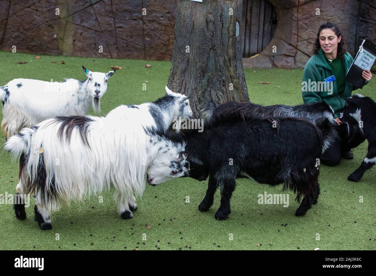 Zoo licence hires stock photography and images Alamy