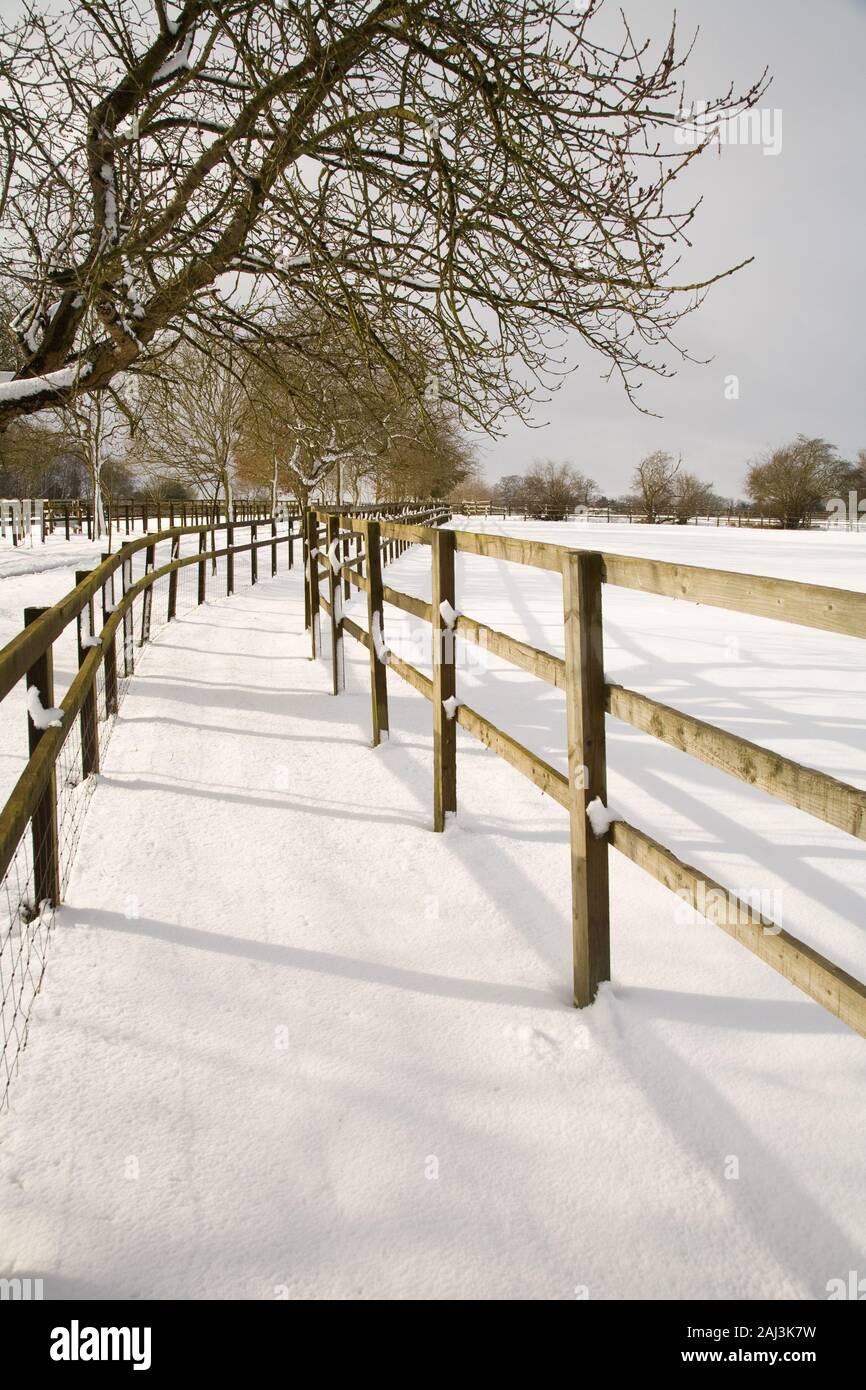 Untouched, snow covered path, Chilterns, UK. Stock Photo