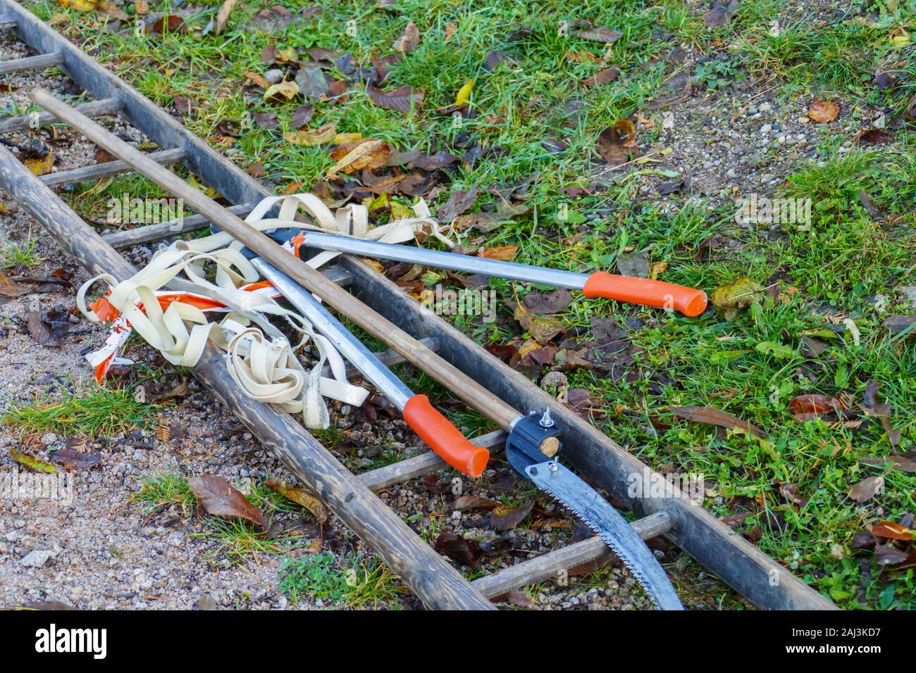 Baumschere und Baumsäge liegen auf einer Leiter im Gras Stock Photo