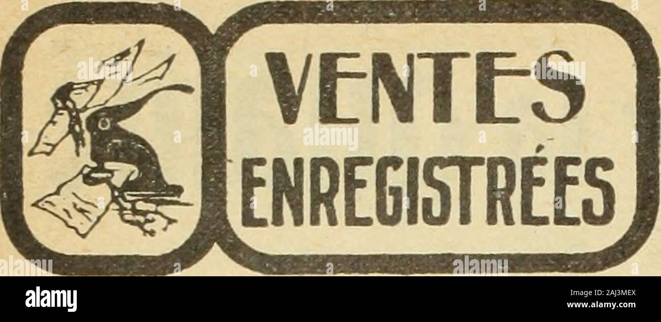 frange effilée dégradée