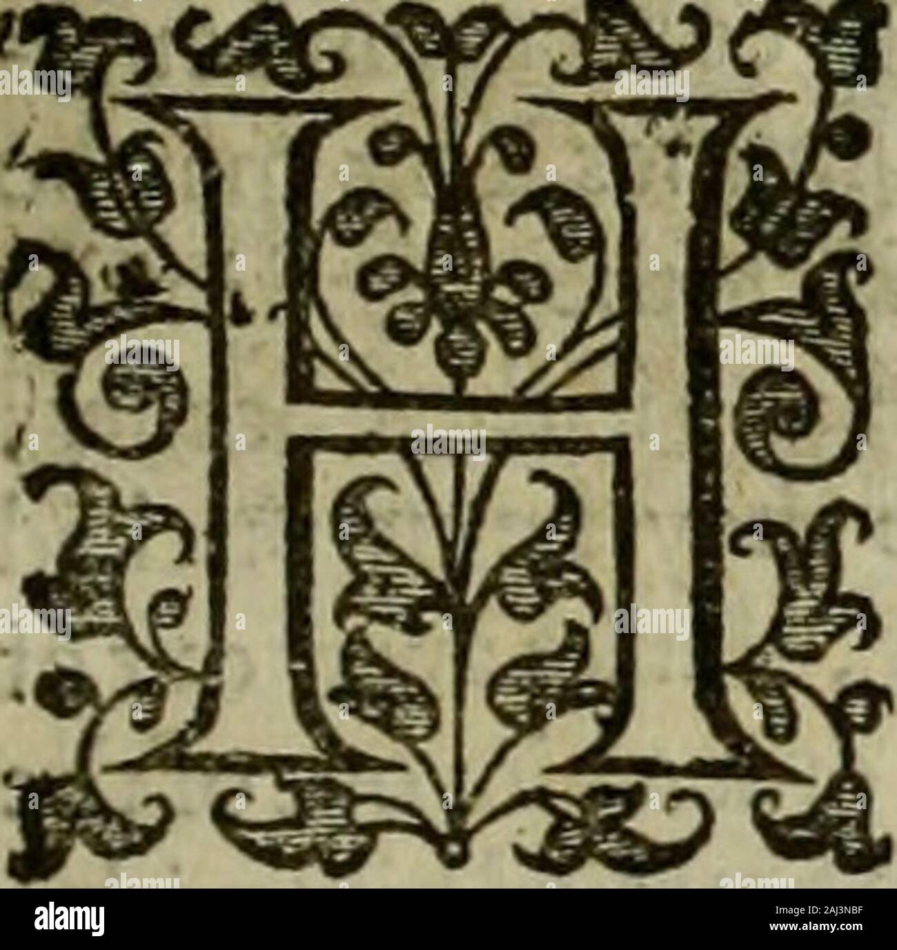 Jx E Hi Res Stock Photography And Images Alamy Jx E Hi Res Stock Photography And Images Alamy