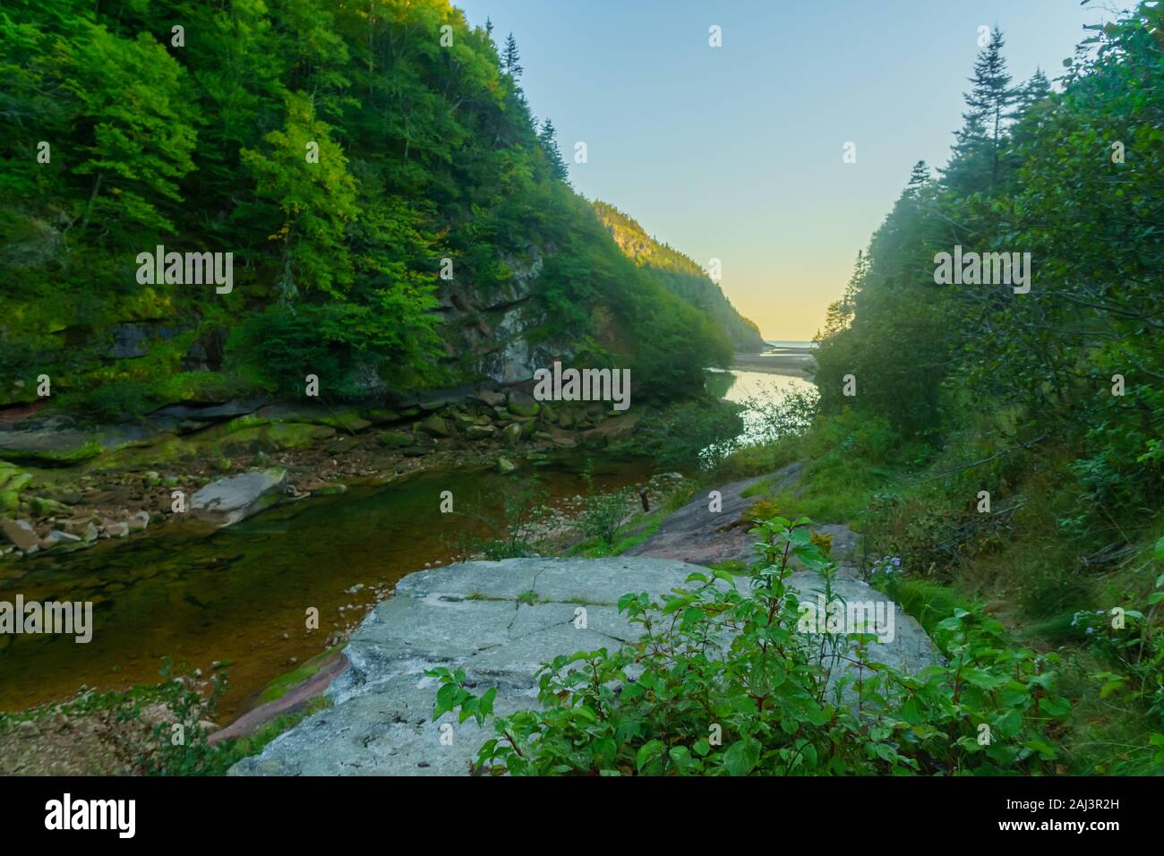 Point wolfe hi-res stock photography and images - Alamy