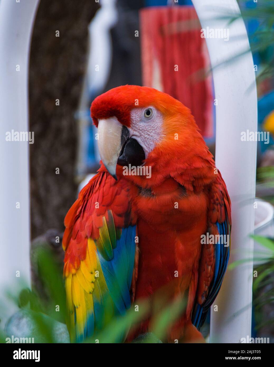Hilton Head, SC Stock Photo Alamy
