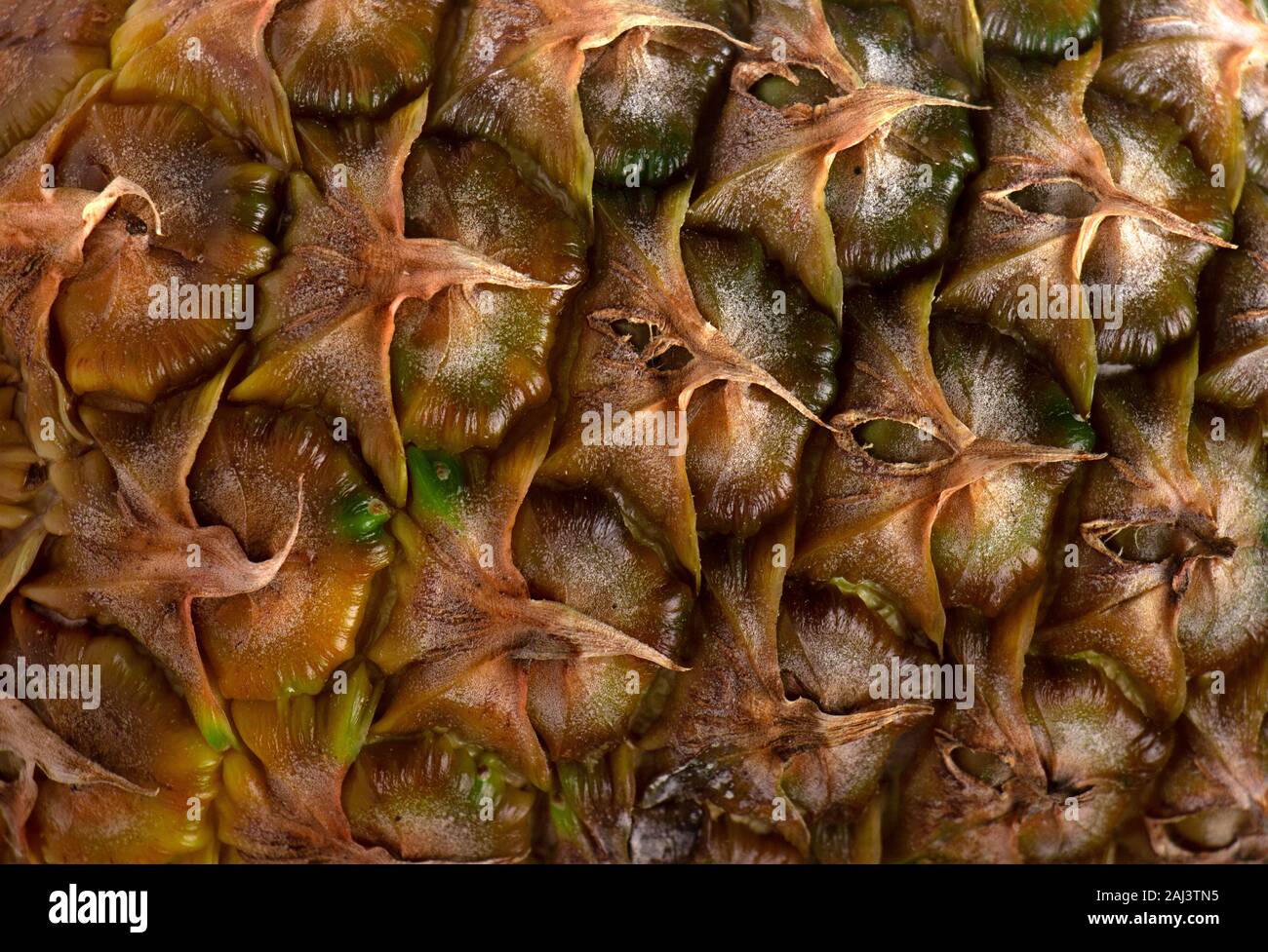 Abstract plant texture, ripe pineapple closeup, macro Stock Photo
