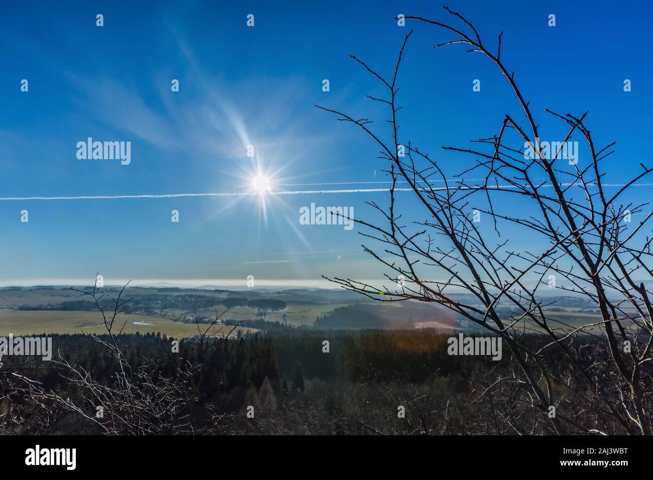 View of winter landscape on a bright day with sun shining on a blue sky with condensation trails. Branches in the foreground. Hazy horizon. Stock Photo