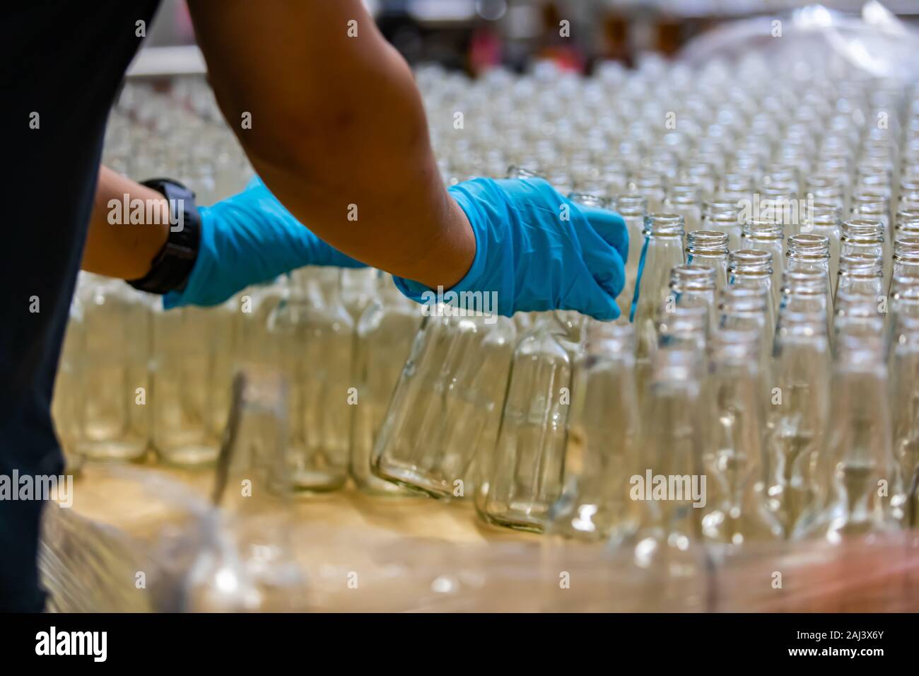 a lot of new beer white glass empty bottle, person hands with blue Rubber glove holding bottles, selective focus close up view Stock Photo