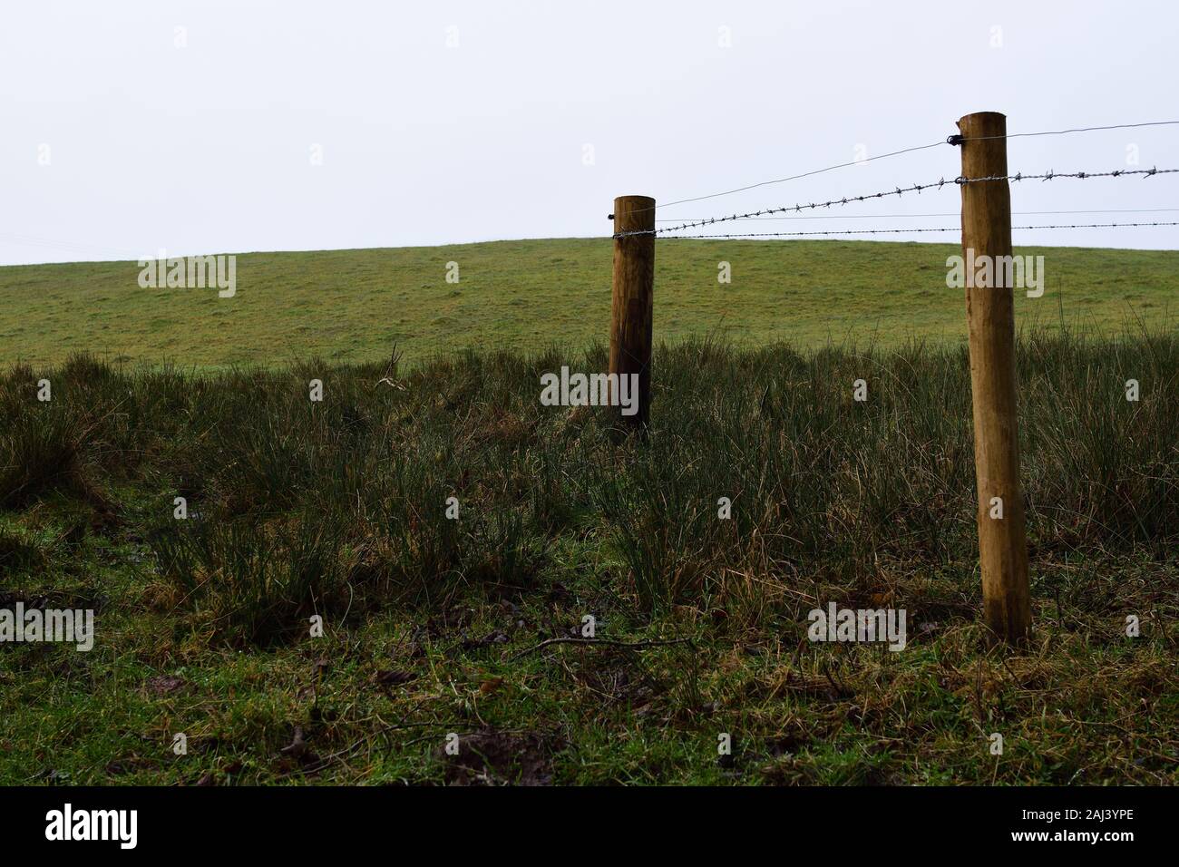 Two fence posts with barbed wire in a wet field beneath an overcast sky in England. Stock Photo