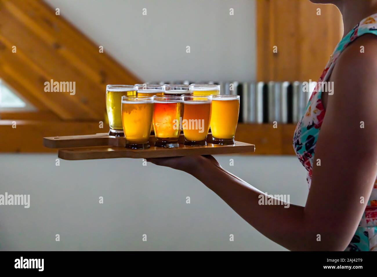 selective focus on Flight of Craft of different Beers glasses on Wooden two Tray, on caucasian woman hand serving, holding the trays side view Stock Photo