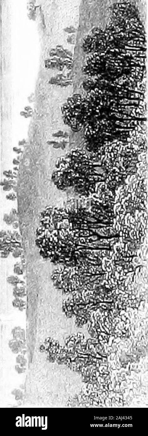 The life and letters of Washington Irving . hors existence. June 13th.—A lowering day,but Mr. Irving again improving.His days, of late, have presentedquite a contrast to that wretched 3dof June, and he has apparently beengaining ever since. Received a note from GeneralV. P. Van Antwerp, of Iowa, andColonel John T. Heard, of Massa-chusetts, two of the Board of Visit-ors, consisting of sixteen, now insession at the United States Mili-tary Academy, at West Point, en-closing a highly complimentary resolution to himself, and proposing,if agreeable, to call on him in a body the next day, when theysh Stock Photo