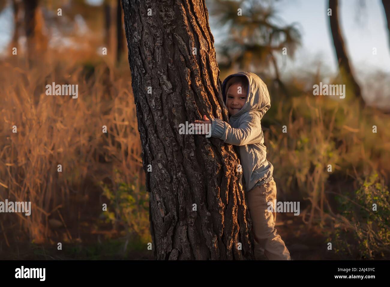 A little kid on a hill in nature who is hugging a tree during a sunset in winter. Stock Photo