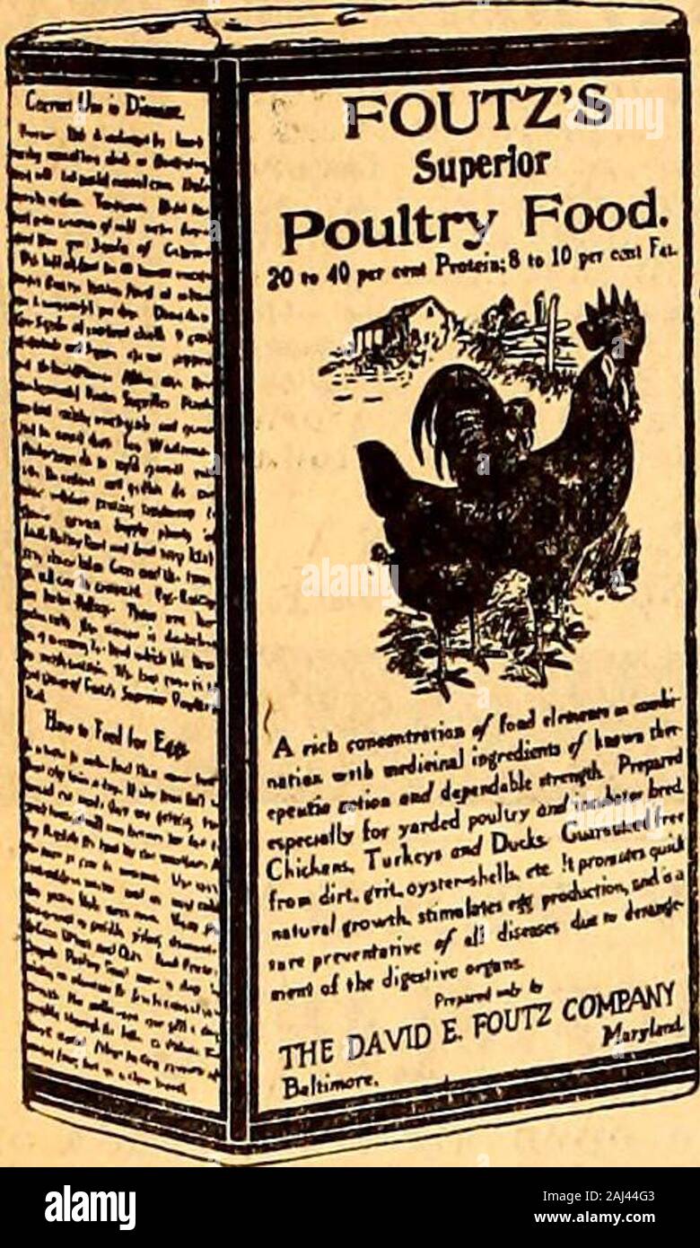 Superior Poultry High Resolution Stock Photography And Images Alamy