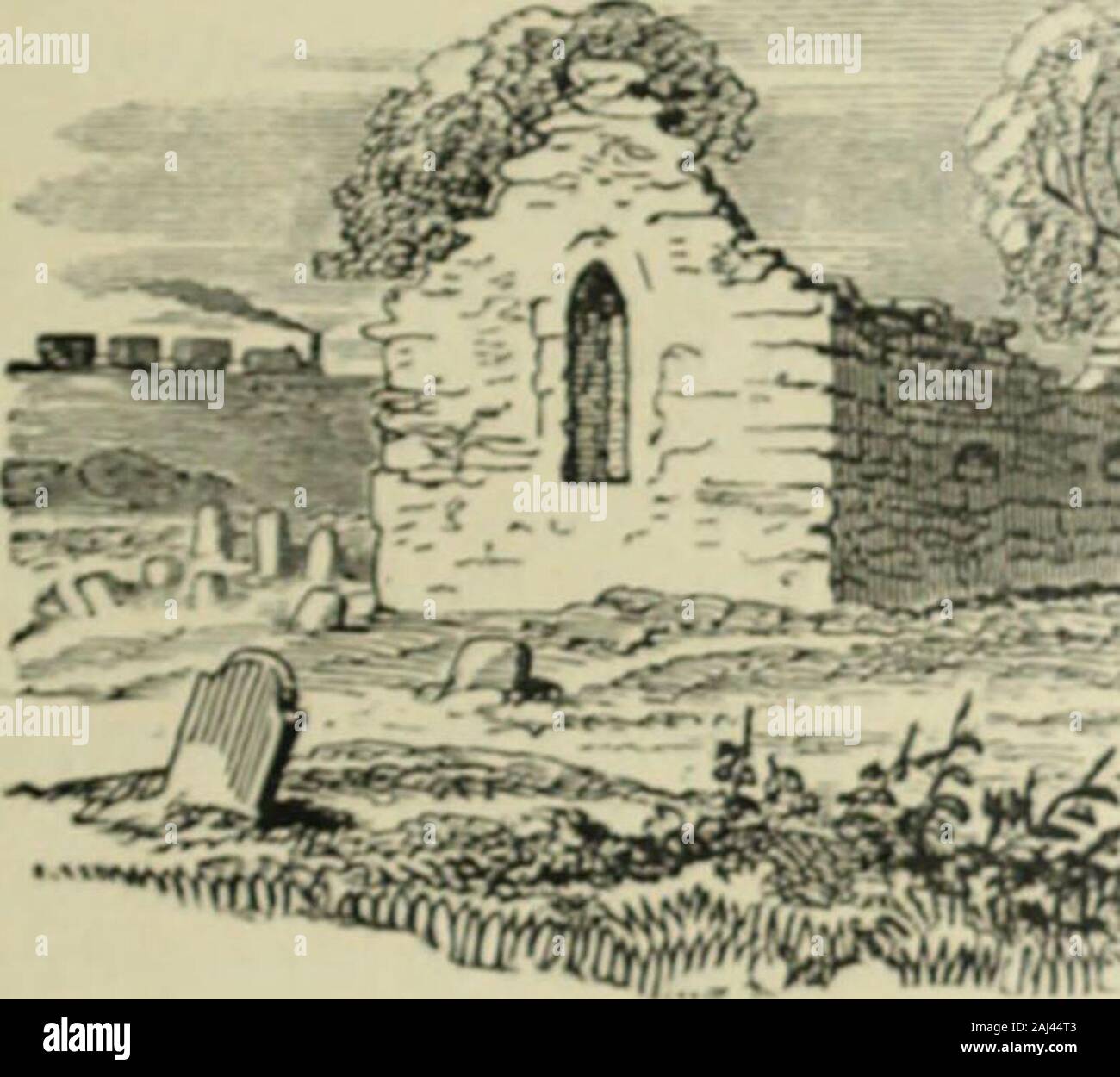 Lives of the Irish saints : with special festivals, and the commemorations of holy persons, compiled from calendars, martyrologies and various sources, relating to the ancient Church history of Ireland . he barony ofMiddlethird, is marked on the OrdnanceSurvey Townland Maps for the County ofWaterford. Sheets 17, 26. 3 See John ODonovans account in Let-ters containing information relative to theAntiquities of the County of Waterford,collected during the progress of the OrdnanceSurrey in 1841, p. 36. * For this statement we are referred to theVitaS. Albei, cap. 33. Januaky 21.] LIVES OF THE IRIS Stock Photo