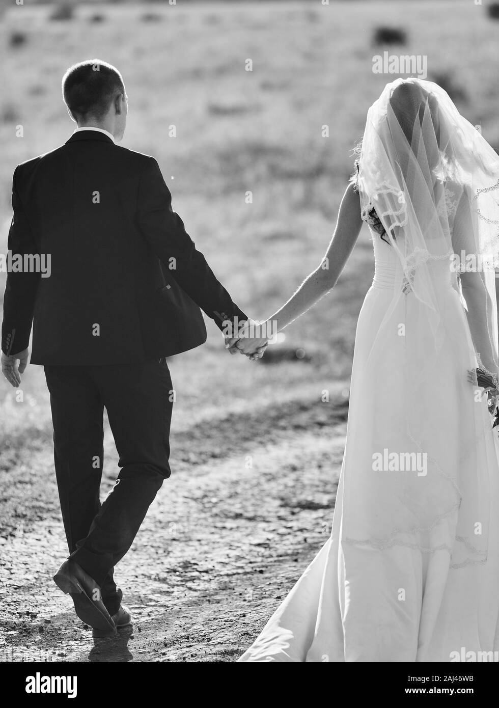 Bride and Groom at wedding Day walking Outdoors on spring nature. Bridal couple, Happy Newlywed woman and man embracing in green park. Loving wedding Stock Photo
