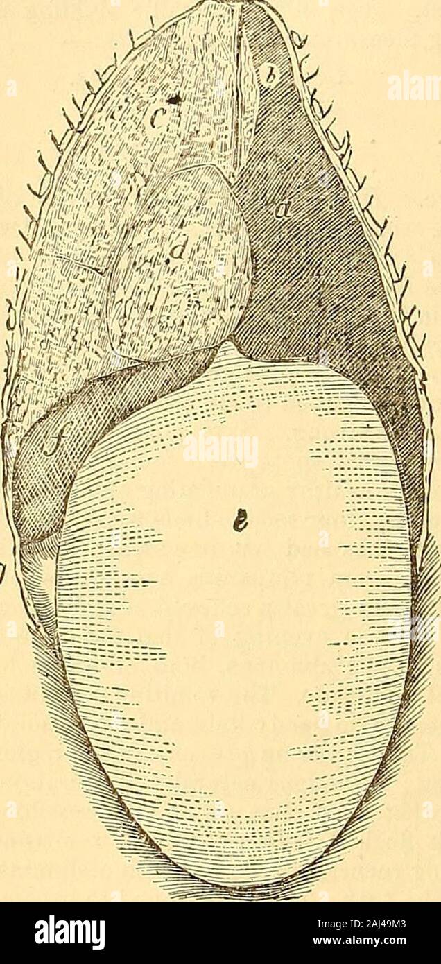 Clinical lectures on the principles and practice of medicine . day. It