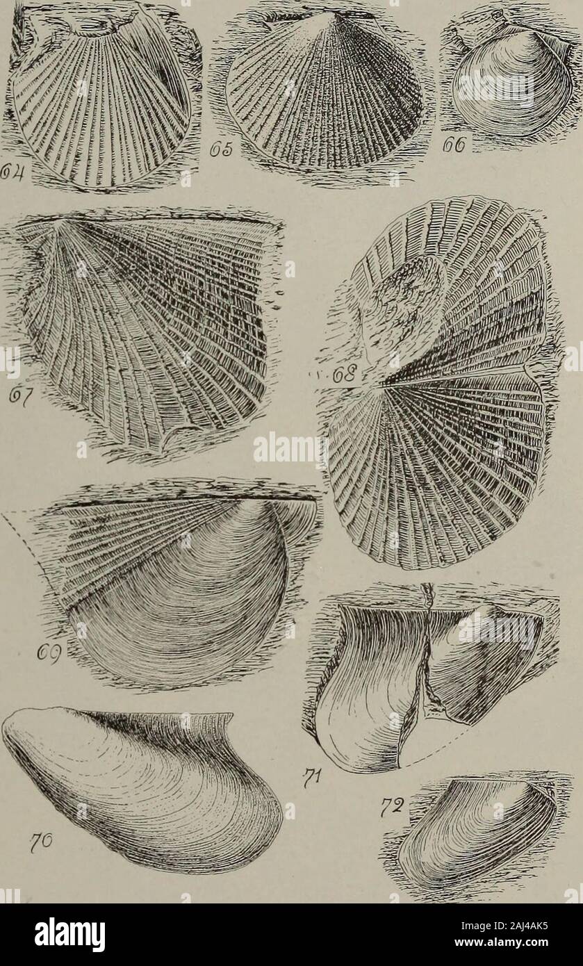 Ko Pi Pi High Resolution Stock Photography And Images Alamy