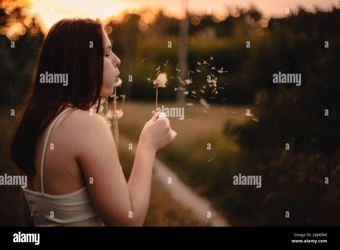 Young woman blowing dandelion while standing on meadow in summer Stock Photo