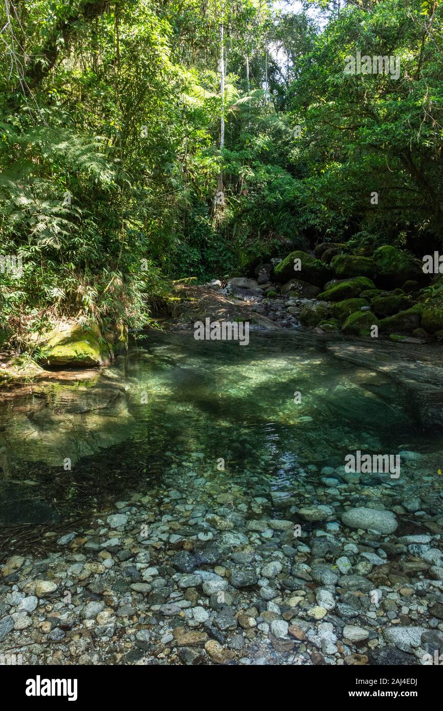 Beautiful green river pool landscape in the atlantic rainforest, Serrinha, Rio de Janeiro, Brazil Stock Photo