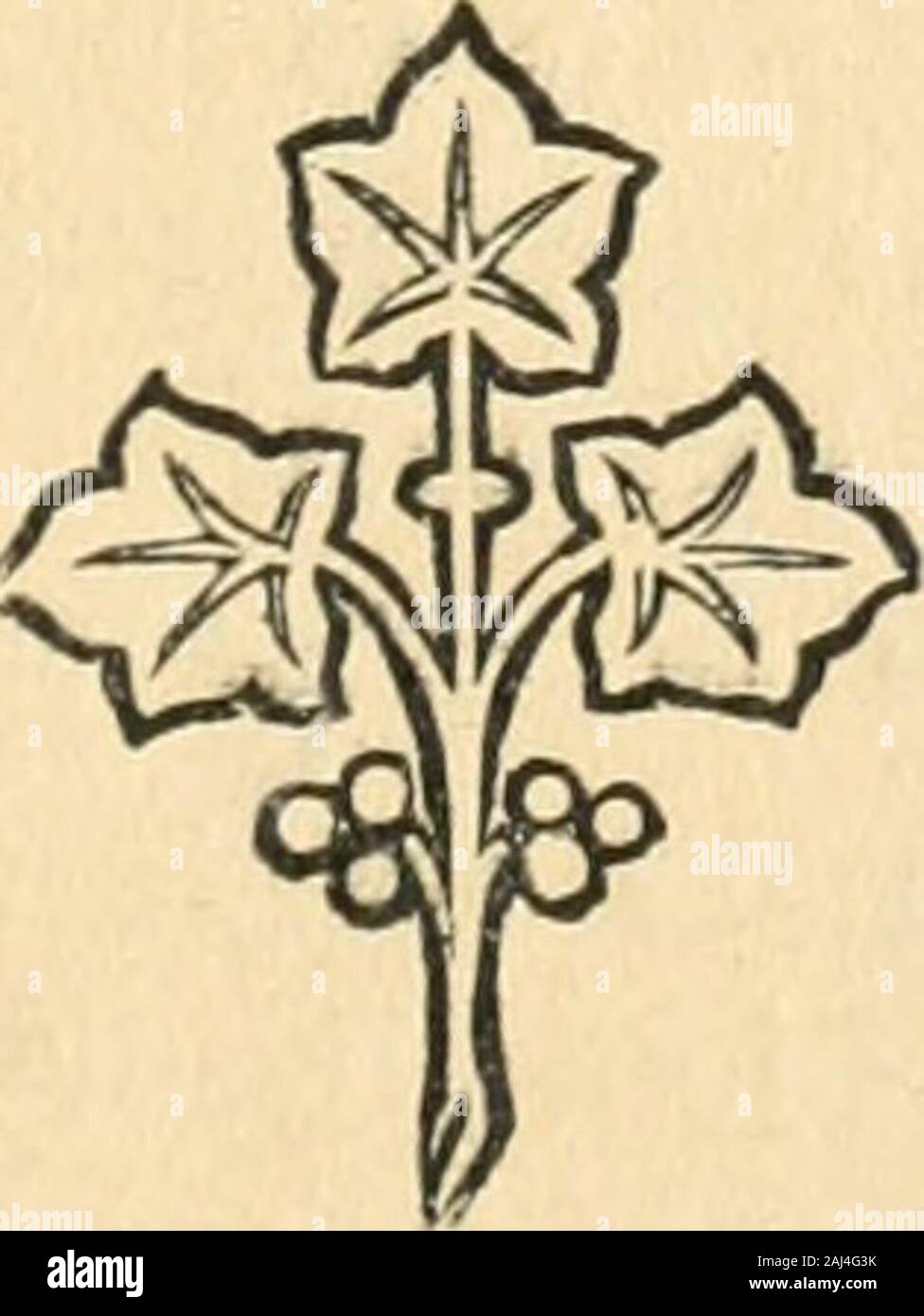 Fraternel High Resolution Stock Photography And Images Alamy Fraternel High Resolution Stock Photography And Images Alamy