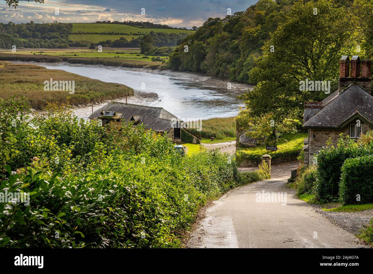 River Tamar in Devon flows past the old port and quay at Cotehele Stock Photo