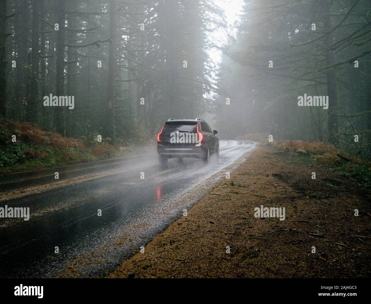 SUV automobile driving through foggy and rainy forest road Stock Photo ...
