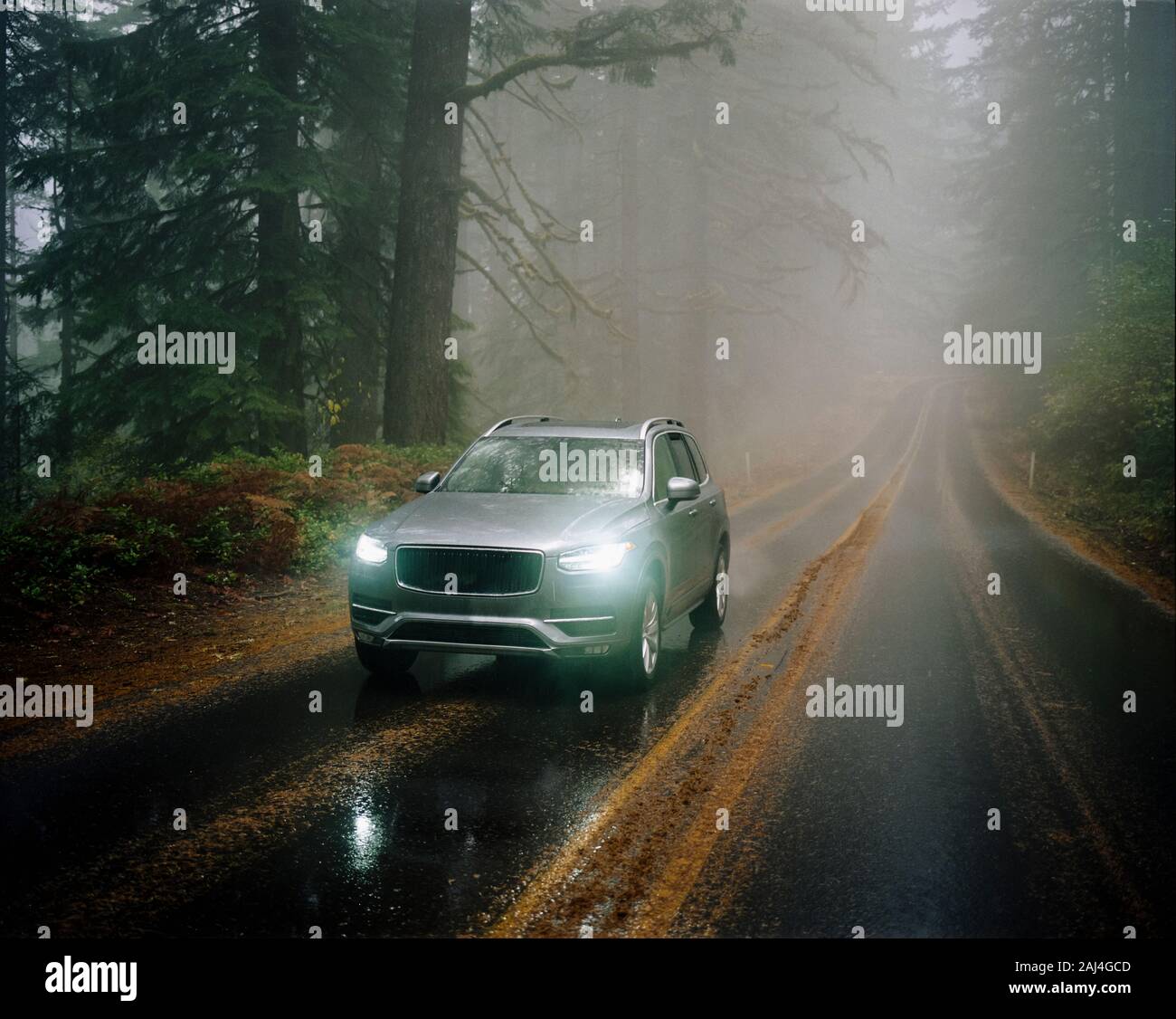 SUV automobile driving through foggy and rainy forest road Stock Photo ...