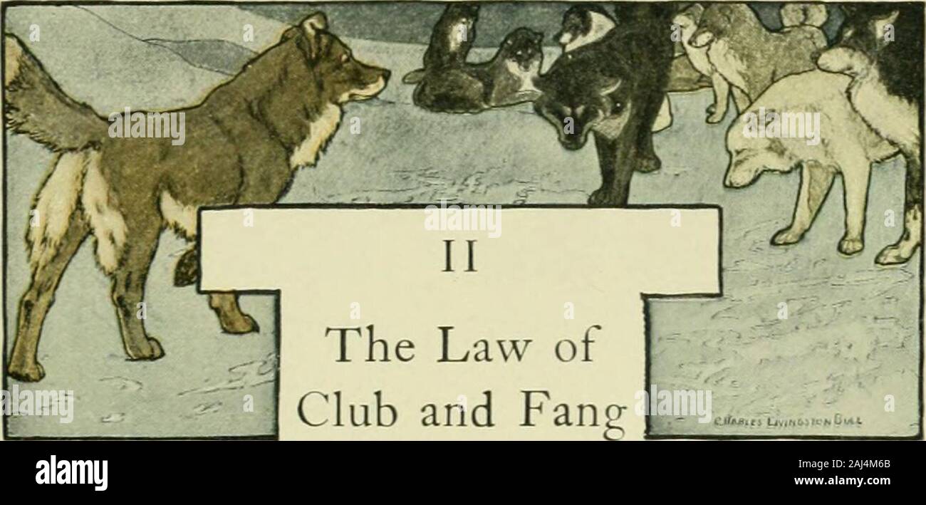 The Law Of Club And Fang The call of the wild . ^-: ;5> •^^E^f^^. II The Law ofClub and Fang BUCKS first day on the Dyea beachwas like a nightmare. Every hourwas filled with shock and surprise.He